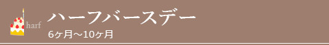 ハーフバースデー/ベビーフォト