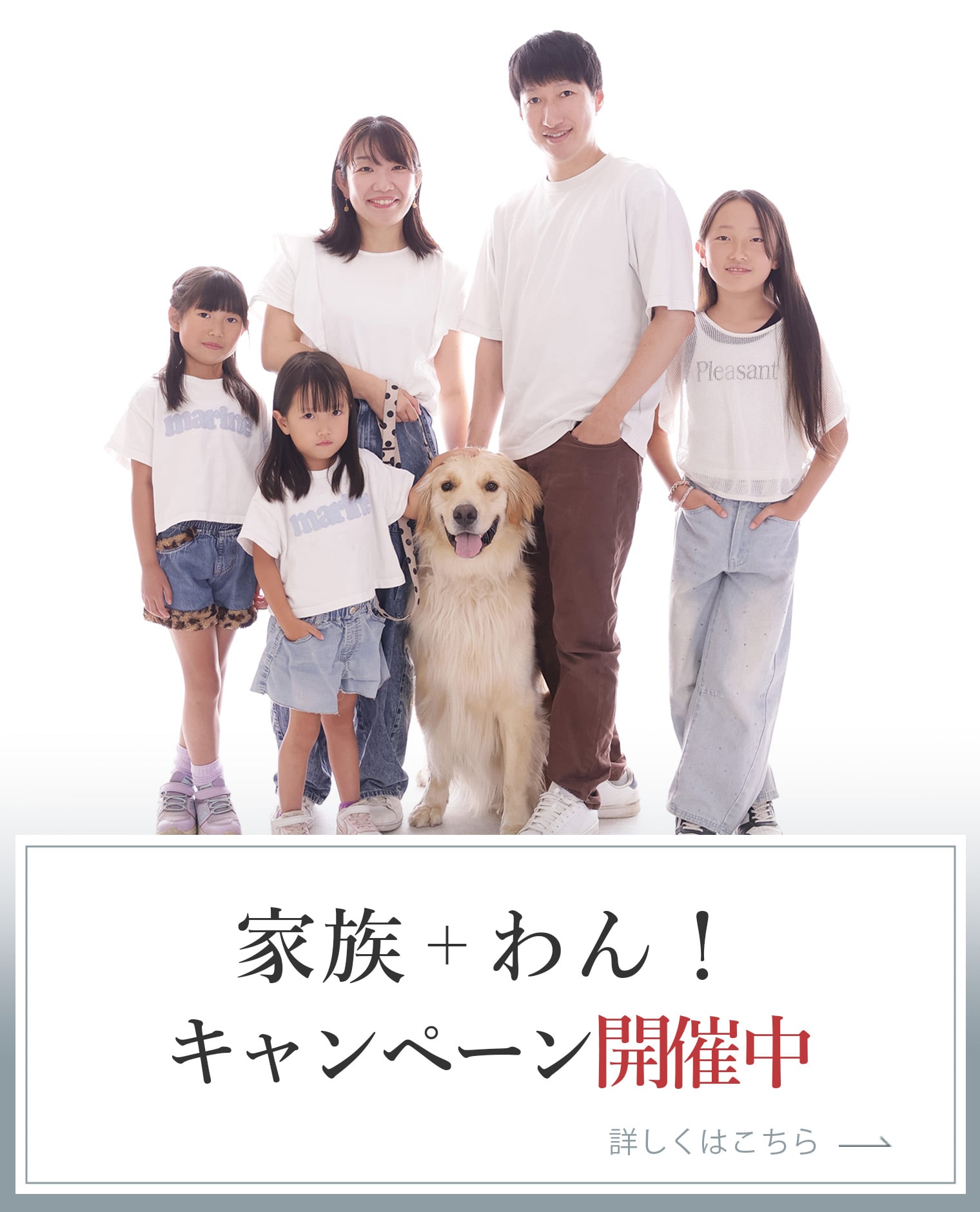 家族+わん!キャンペーン開催中 こちらをクリックするとPDFファイルが開きます。