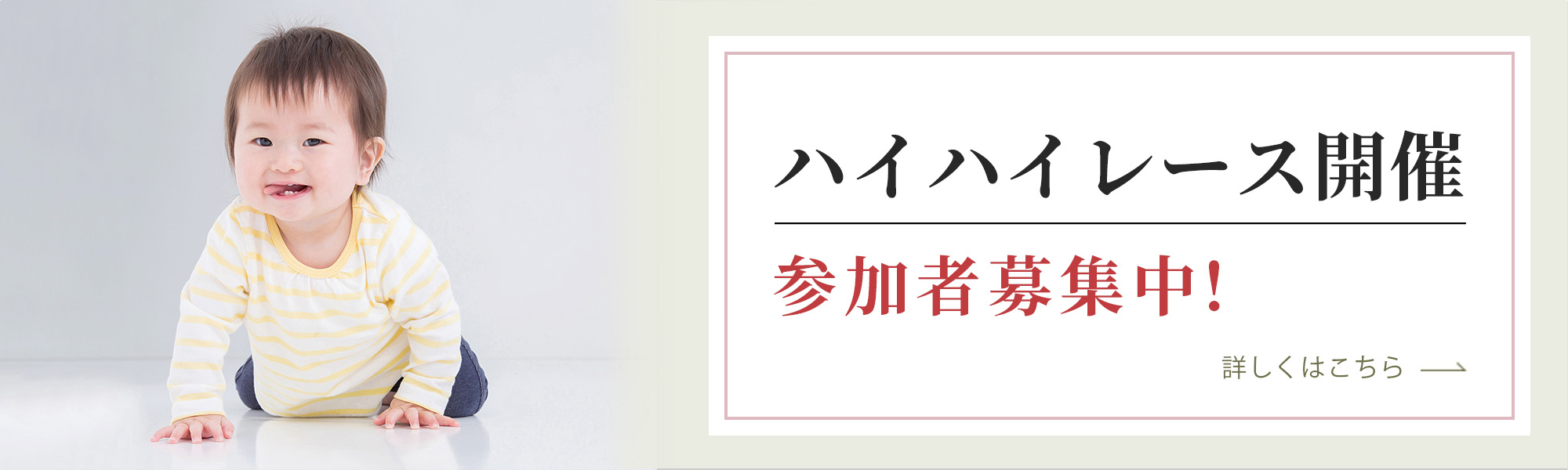 ハイハイレース開催 参加者募集中!開催 こちらをクリックするとPDFファイルが開きます。