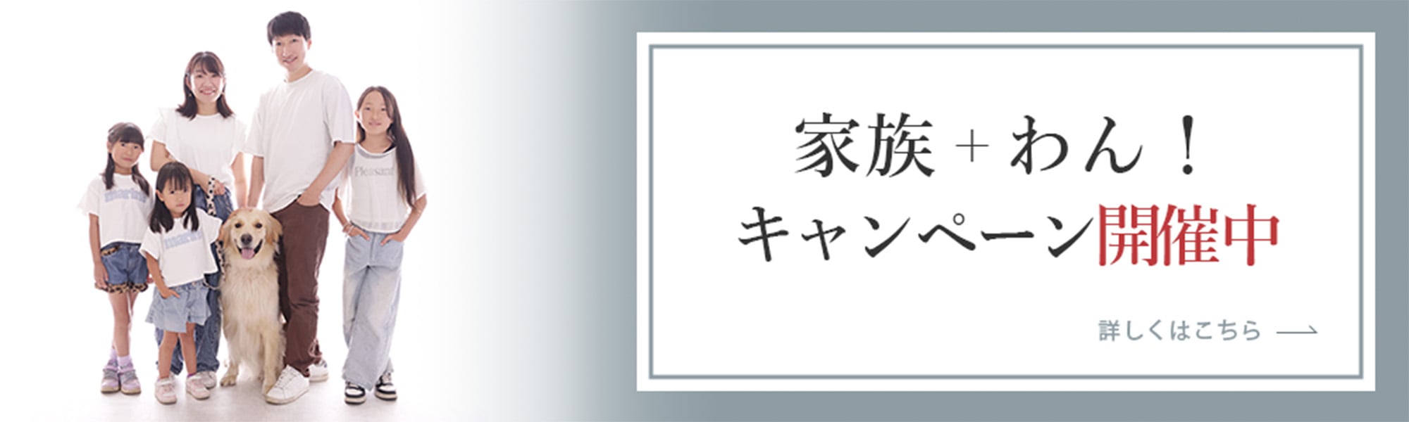 家族+わん!キャンペーン開催中 こちらをクリックするとPDFファイルが開きます。